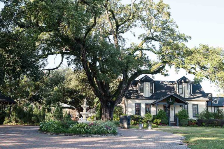 Oak-Tree-Manor-Wedding-Spring-Tx